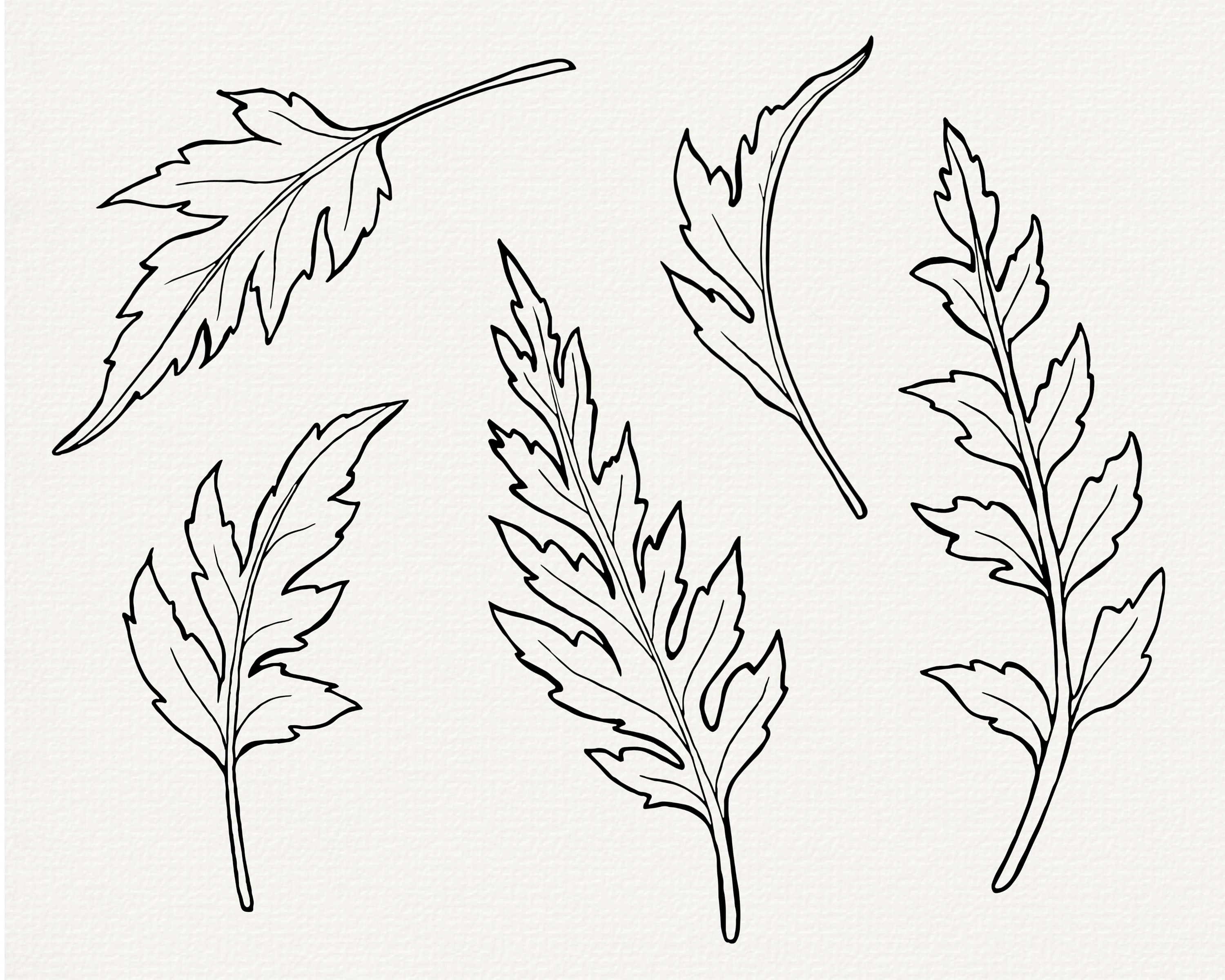 Poppy Inlines Poppy Line Art SVG: Floral Outline Vector Clip Art (commercial Use) - Etsy