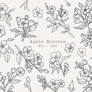 Puede incluir: Dibujos lineales en blanco y negro de ramas y flores individuales de manzano. La imagen incluye el texto "Apple Blossom SVG + PNG". Estas ilustraciones florales detalladas son adecuadas para varios proyectos de diseño.