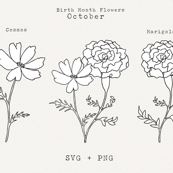 Marigold Flower SVG, Cosmos Flower SVG, October Birth Month Flowers, October Birthday Flowers, Hand Drawn, Floral Line Art Clip Art, Outline