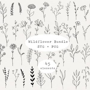 Pacote SVG de Flores Silvestres, Elementos Botânicos, Arte Floral Vetorial, Flor SVG, Floral SVG, Clipart de Flores e Folhas, Arquivos SVG para Cricut