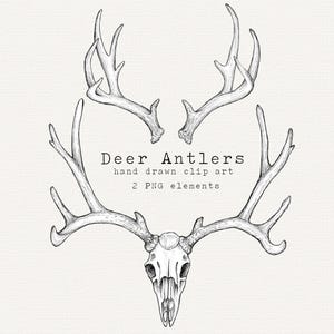 Antlers Clipart, Antler Clipart, Deer PNG, Deer Antlers Clipart, Digital Antlers, Hunting PNG, Boho Clipart, Rustic Clipart