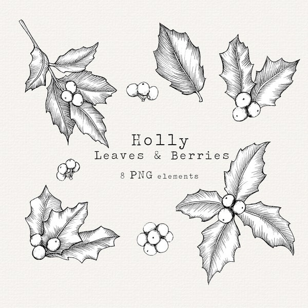 Holly Leaves Clip Art, Christmas Line Art Holly Botanical Line Art, Christmas Greenery Line Drawing, Vintage Illustration, Commercial Use