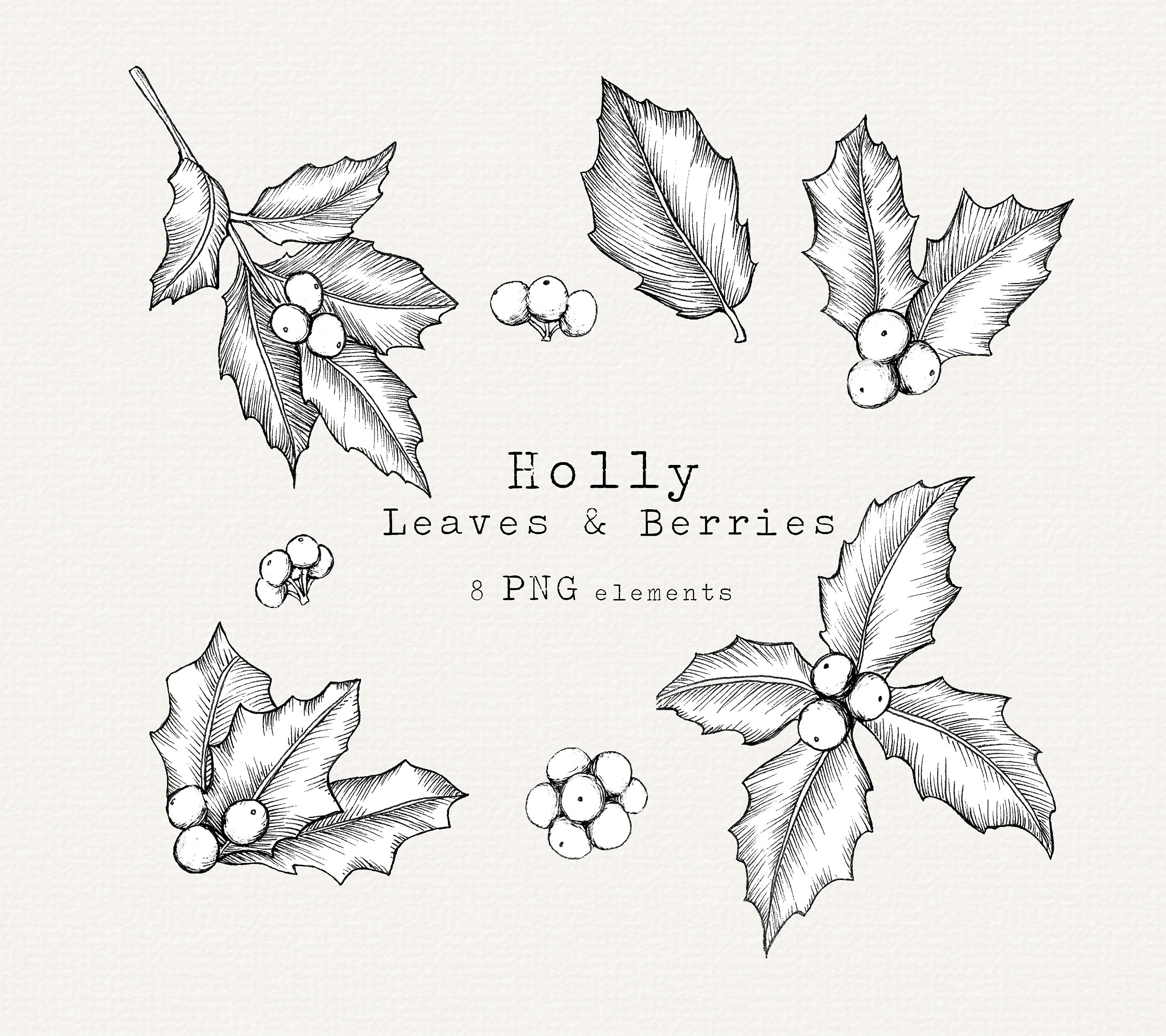 Holly Berry Christmas Icon Element For Design Stock Illustration - Download  Image Now - Holly, Christmas, Vector - iStock