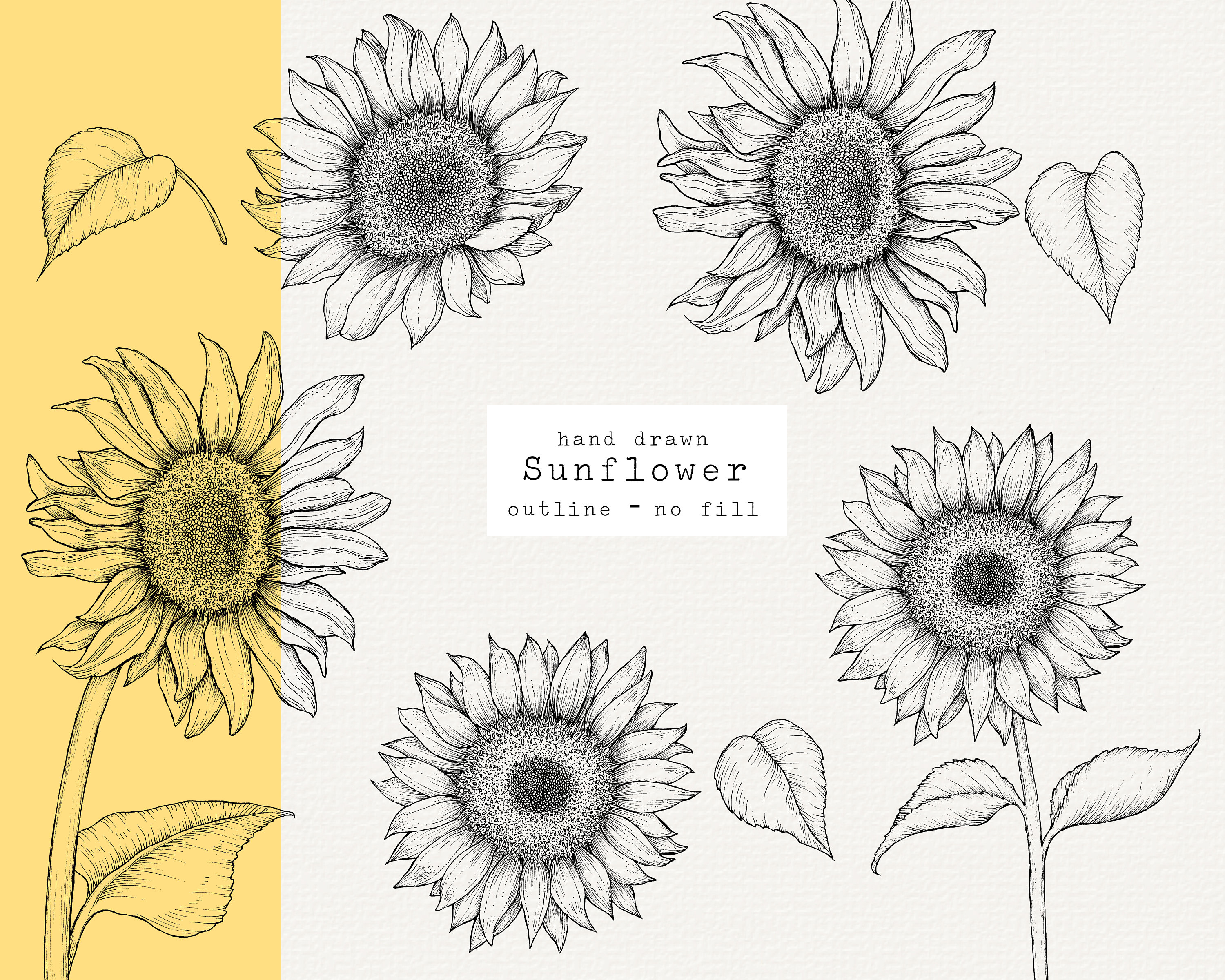 Sunflower Clipart Hand Drawn Sunflower Outline for Laser Etsy