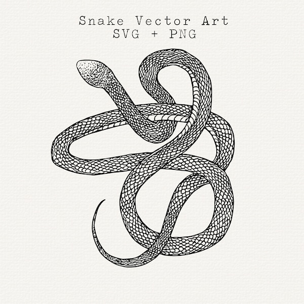 Snake SVG, Snake Svg, Snake Vector Graphics, Detailed Snake Illustration, Instant Download, Black and White Outline, Fine Line Art Clipart