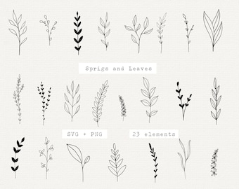 Botanical SVG Bundle: Hand-Drawn Leaf Clipart (SVG, PNG)