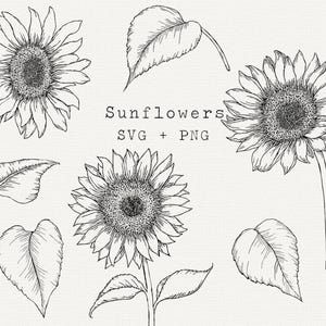 Tournesol SVG, tournesols Vector Clipart, téléchargement immédiat de contour tournesol, couper fichier pour la découpe, gravure laser, logo tournesol