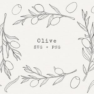 Aceituna SVG para uso comercial, rama de olivo dibujada a mano, clip art de hoja de olivo, contorno simple, archivo de corte Cricut, archivo láser