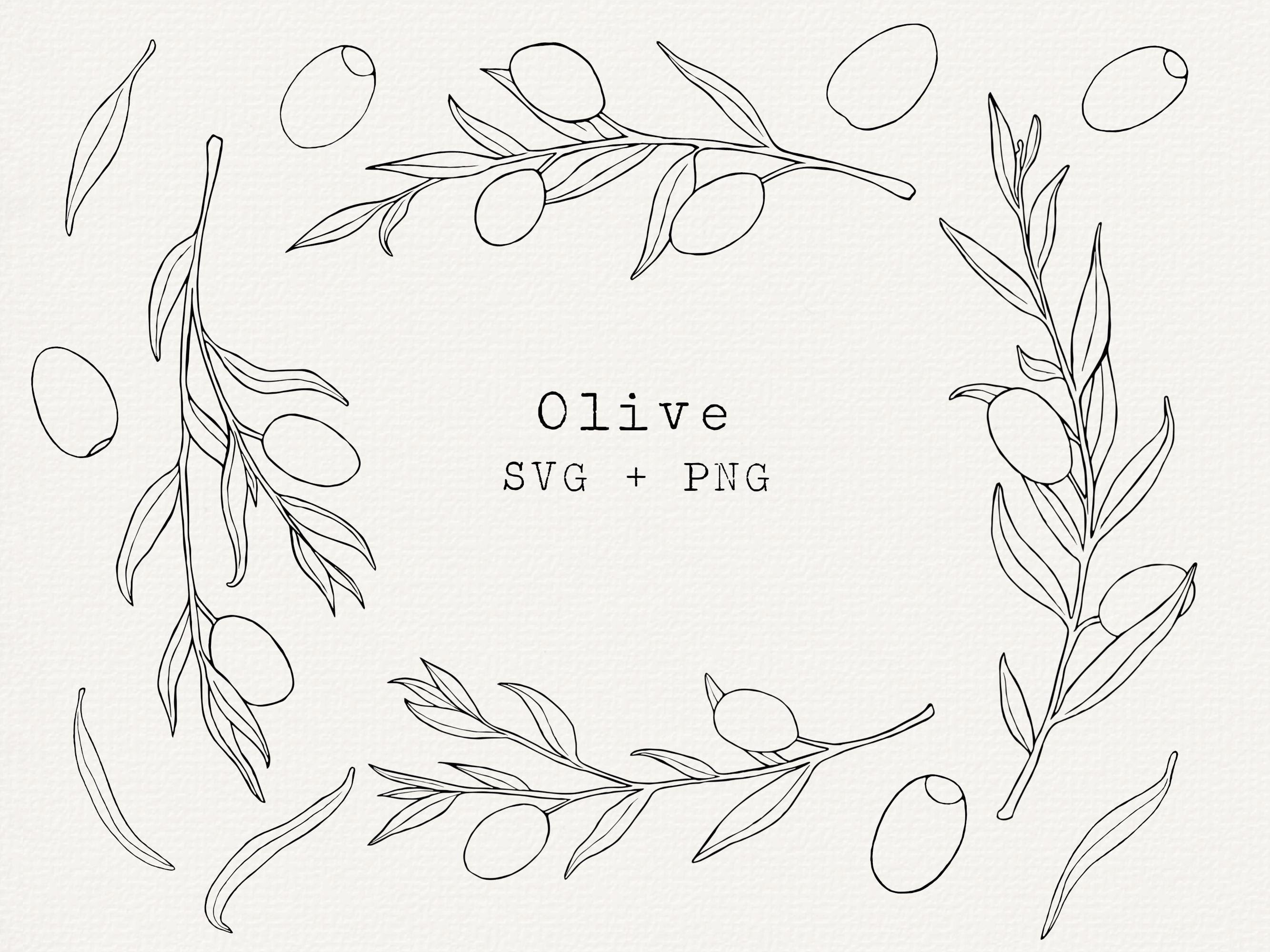 手描きオリーブの枝SVG、線画クリップアート（商用利用） - Etsy 日本