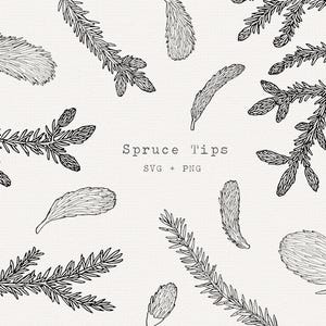 Conseils d'épicéa SVG, clipart de pointe d'épicéa, branche d'arbre à feuilles persistantes Illustration d'art au trait, fichier de coupe Cricut, dessin au trait simple, usage Commercial