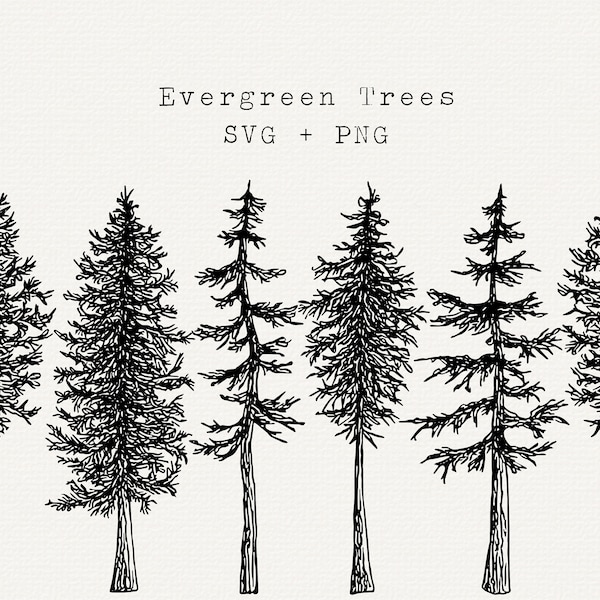 Tree SVG, PNG, Evergreen Tree Vector Graphics, Hand Drawn Forest Clipart, Woodland Line Art, Pine, Fir, Trees Design