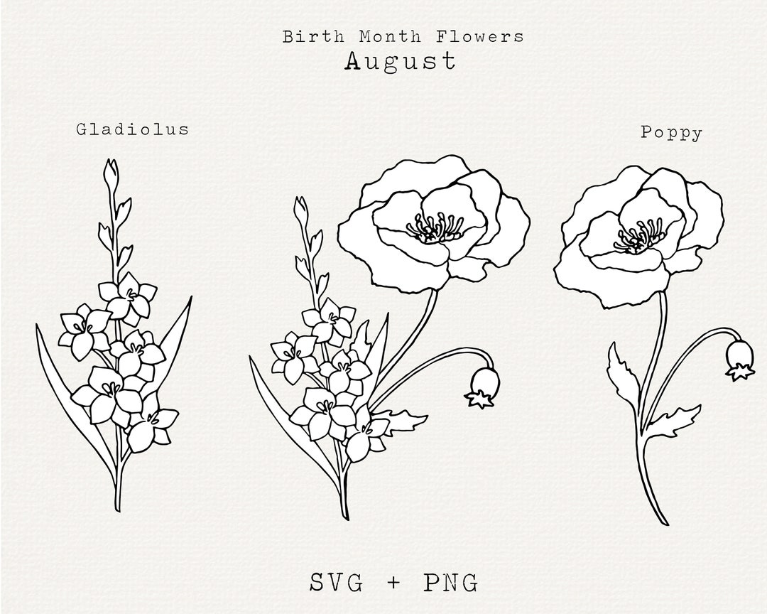 Birth Month Flowers  Gifts  Birth flowers Flower meanings Birth flower  tattoos