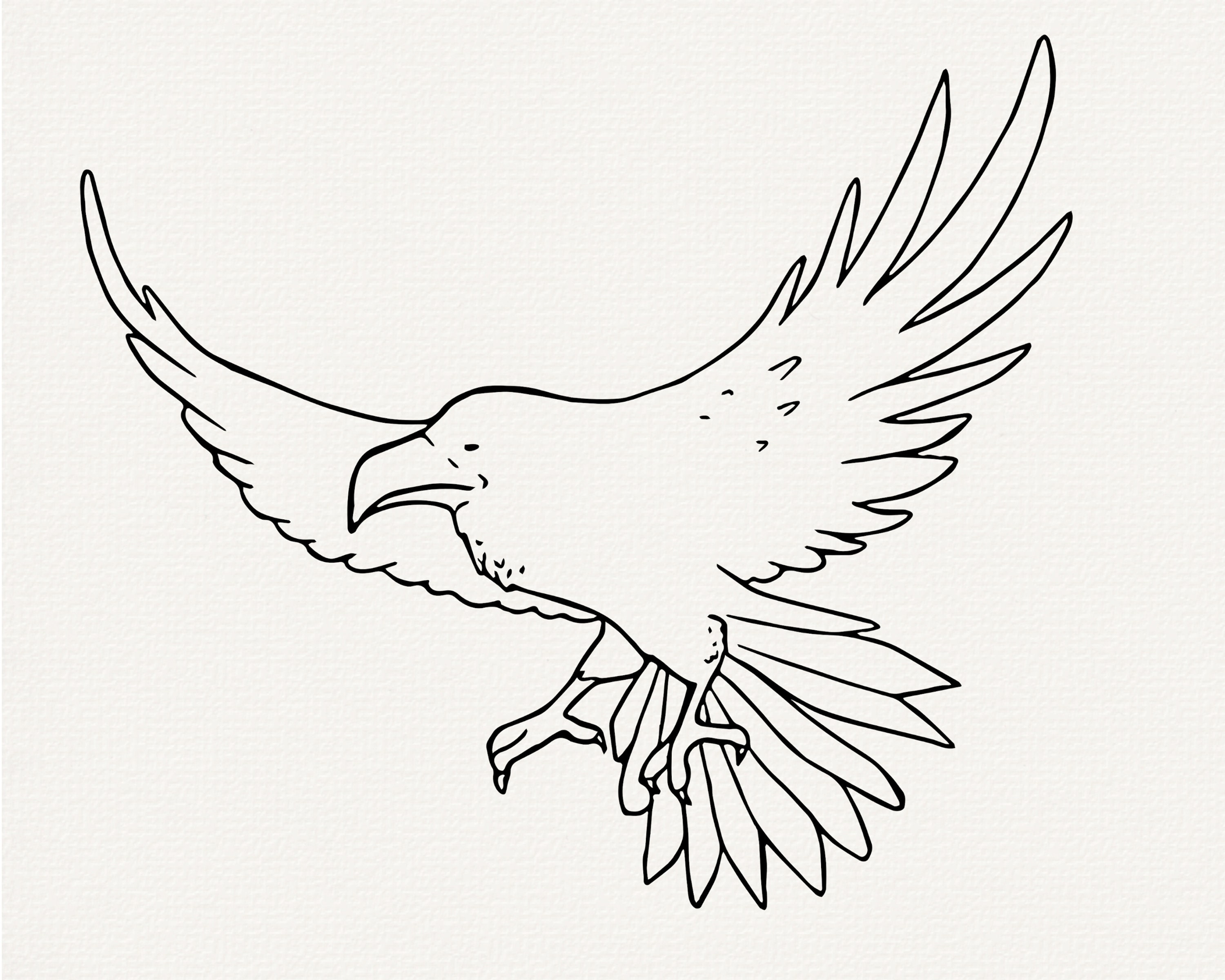 Raven Line Patterns Raven Line Art SVG Bundle, Bird Outline (commercial Use) - Etsy Canada