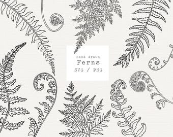Fern line art SVG set, hand drawn botanical drawing, vector clipart download