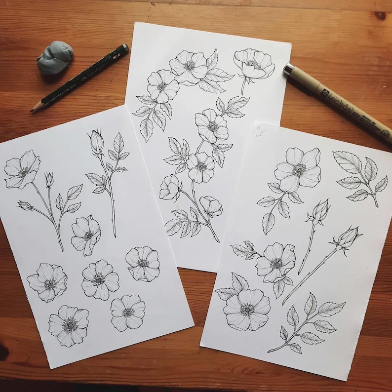 Wild Rose Line Art SVG, pacchetto di illustrazioni floreali (SVG e PNG) immagine 11
