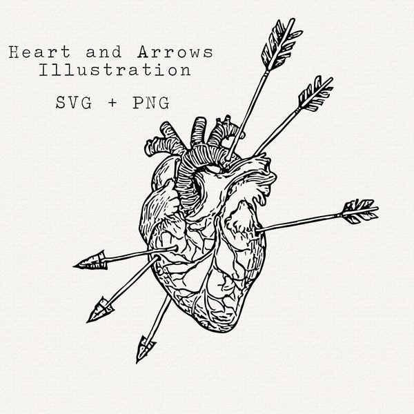 Heart and Arrows SVG, Pierced Heart Vector, Anatomical Heart, Love Graphics, Fine Line Art, Cut File for Cricut, Laser Engraving