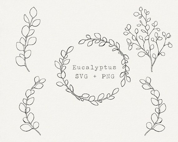 Eucalyptus Branches. Eucalyptus Svg. Svg. Branches SVG. -  Israel