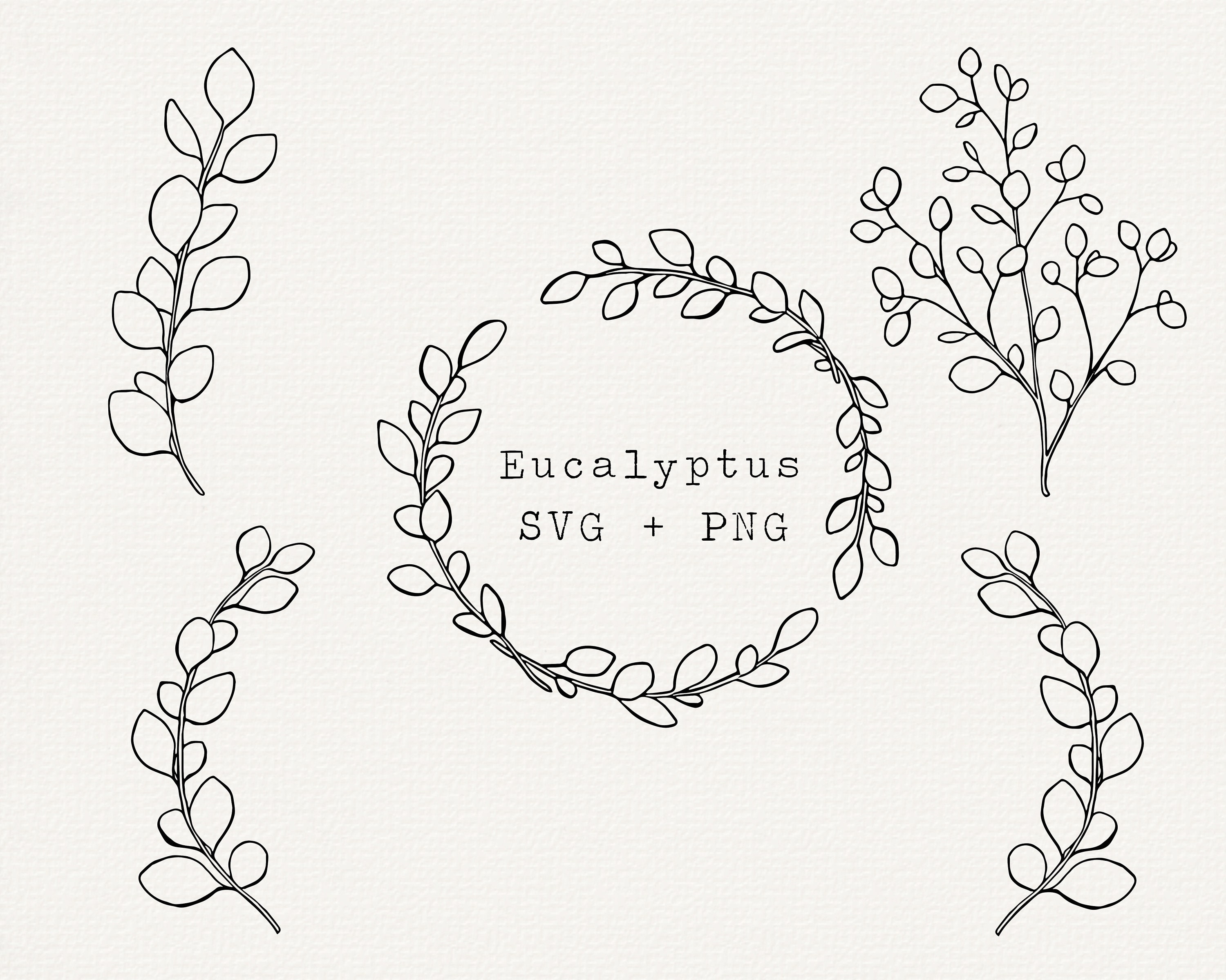 Eucalyptus SVG Eucalyptus Line Art Hand Drawn Eucalyptus - Etsy Finland