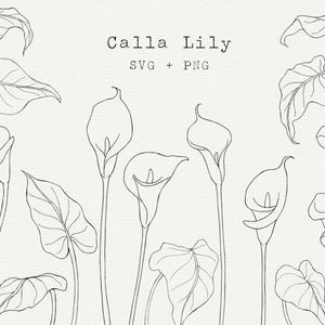 カラーリリーSVG、ユリのクリップアート、花の線画、クリカットカットファイル、シンプルなアウトライン描画、結婚式、文房具、タトゥー、商用利用