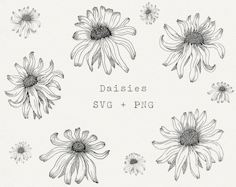 Daisy SVG, Daisy Vector Outline, Spring Flowers Cut File, Instant Download for Laser Printing, Silhouette, Cricut, Black Eyed Susan Wedding