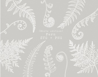 White Fern SVG Bundle, Fern Fronds Clip Art, Hand Drawn Botanical PNG, For Wedding Invitation, Stationary Decoration, White Line Art