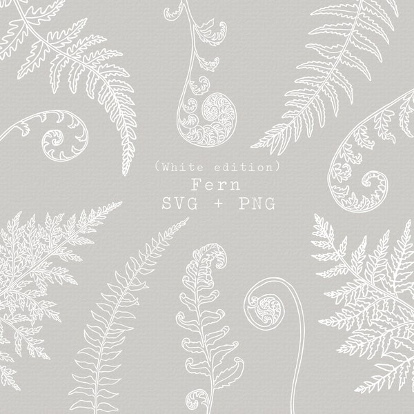 White Fern SVG Bundle, Fern Fronds Clip Art, Hand Drawn Botanical PNG, For Wedding Invitation, Stationary Decoration, White Line Art