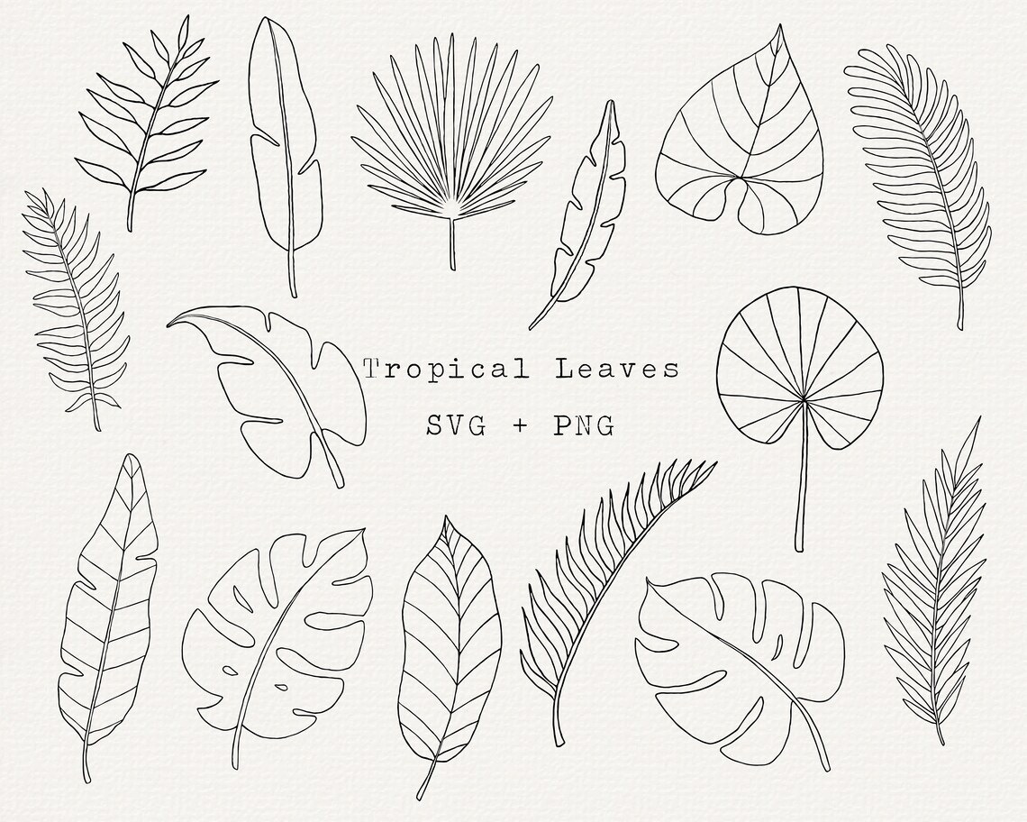 Tropical Leaf SVG Bundle Tropical Leaves Clipart Summer - Etsy