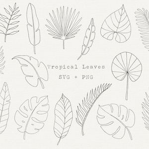 Tropical Leaf SVG Bundle, Tropical Leaves Clipart, Summer Greenery Line Art, Simple Outline Leave, Monstera Leaf, Palm, Cut File For Cricut