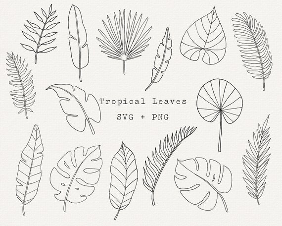Tropical Leaf SVG Bundle, Tropical Leaves Clipart, Summer Greenery Line  Art, Simple Outline Leave, Monstera Leaf, Palm, Cut File for Cricut - Etsy