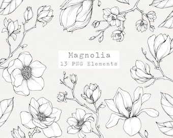 Magnolia Flower Line Art, Botanical PNG Clipart, Floral Illustration Elements (Digital Download)