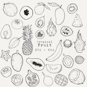 May include: Line art illustration of various tropical fruits, including a pineapple, banana, mango, and papaya. The words "Tropical Fruit" are displayed with "SVG + PNG" below. The image is in black and white.