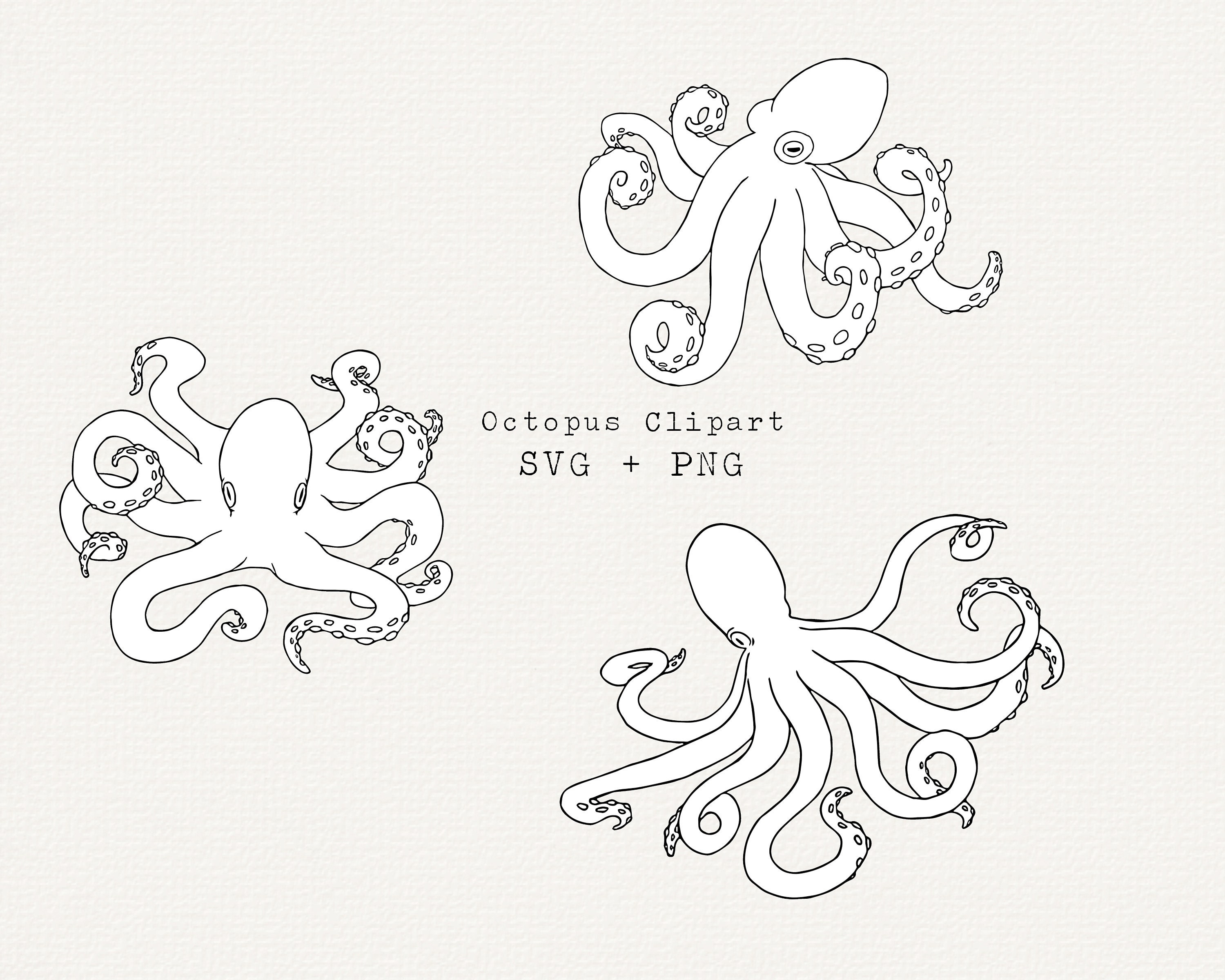 Octopus Line Drawing