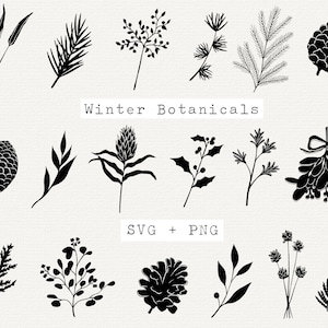 Winter Botanical SVG Bundle, Christmas Botanical Clip Art, Christmas SVG, Cut File for Cricut, Silhouette, Die-cut Pinecone, Mistletoe, Pine