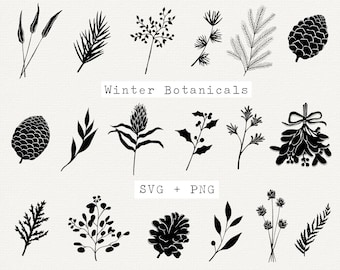 May include: A set of 16 black and white winter botanical illustrations, including pine branches, holly, mistletoe, and pinecones. The text "Winter Botanicals" and "SVG + PNG" is included in the image.