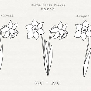 Daffodil SVG, Jonquil SVG, March Birth Month Flowers, March Birthday Flowers, Spring Flower Clip Art, Floral Line Art PNG, Cricut Cut File