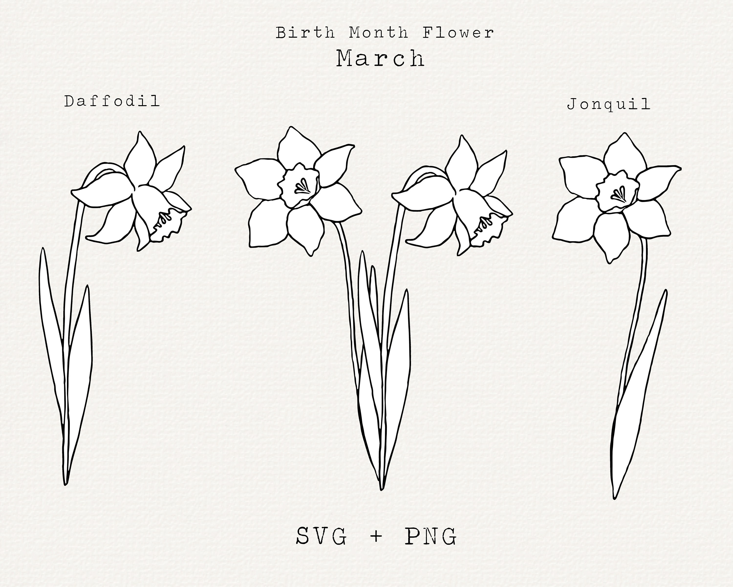 Daffodil SVG Jonquil SVG March Birth Month Flowers March Etsy