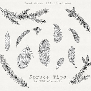 Conseils d'épicéa PNG Clip Art, Illustration de pointe d'épicéa dessiné à la main, dessin de brin d'arbre à feuilles persistantes, Clipart de verdure d'hiver, pour un usage Commercial