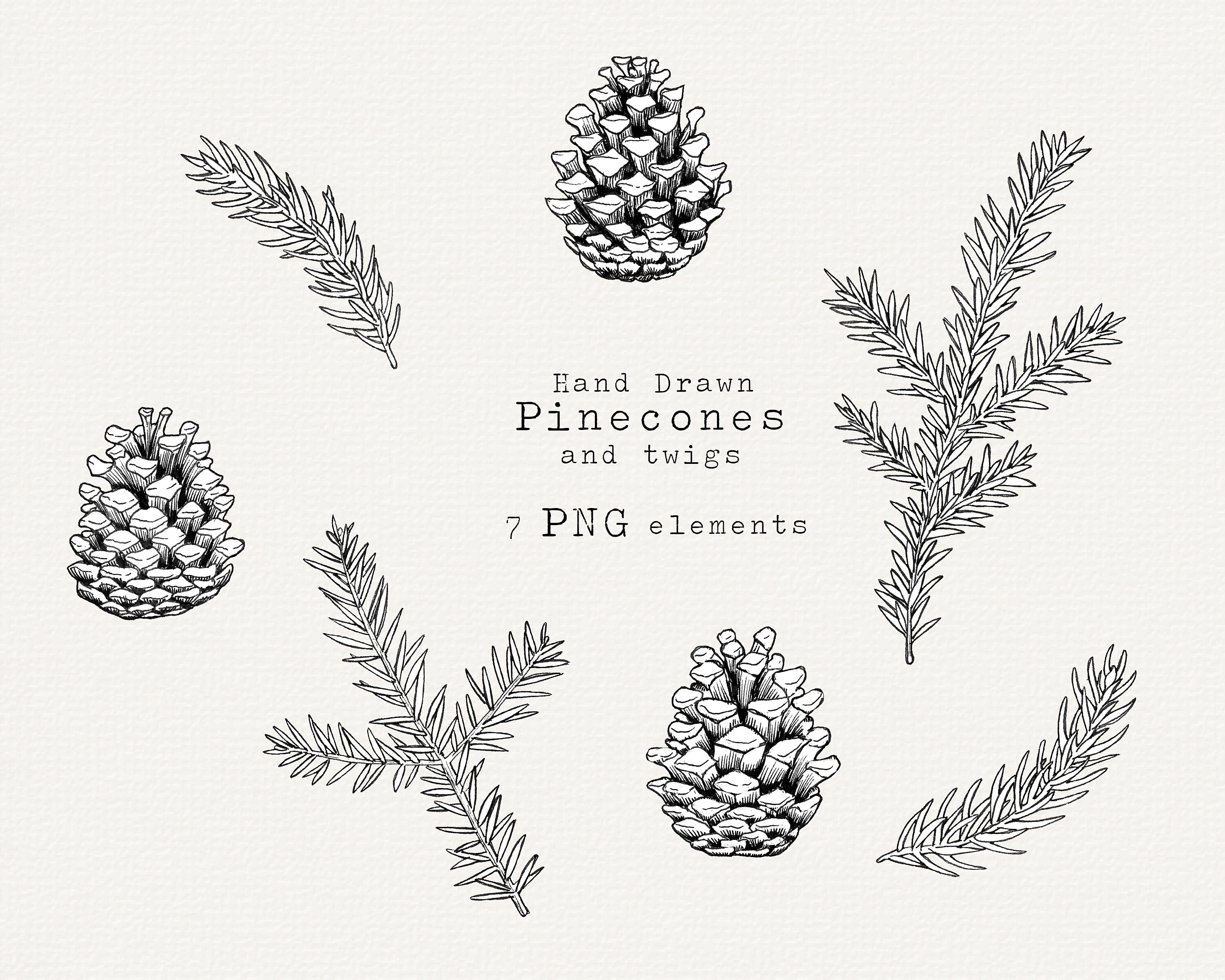 Pine Cone Clip Art, Hand Drawn Christmas Clip Art, Pine Drawing ...