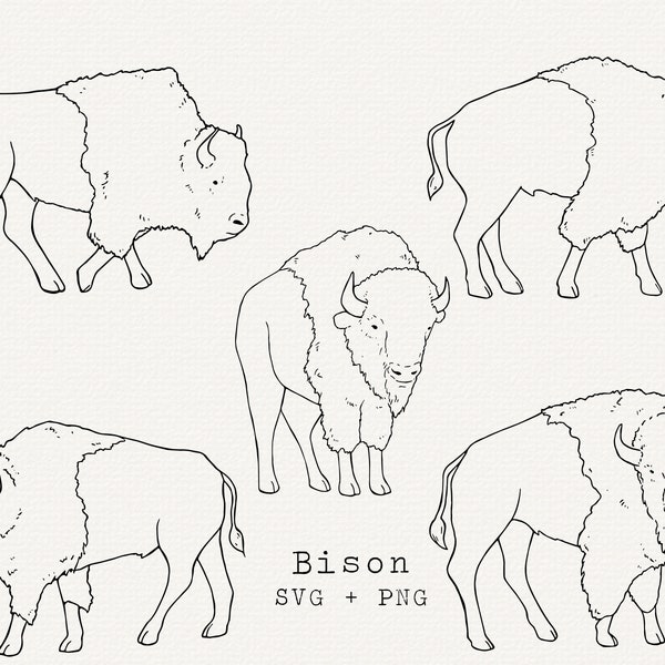 Bison SVG Bundle,  Buffalo Illustration for Commercial Use, Cut File for Cricut, Silhouette, Simple Line Art, Outline Drawing, Hand Drawn