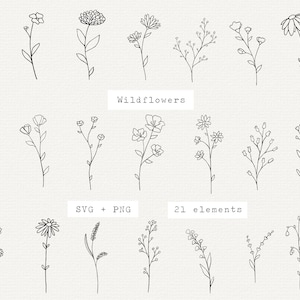 Wildflower SVG, Wildflowers SVG Bundle, SVG file for Cricut, Botanical Elements, Spring Flowers Vector Outline, Line Art for Wedding, Logo