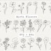 see more listings in the Plant & Flower Clip Art section