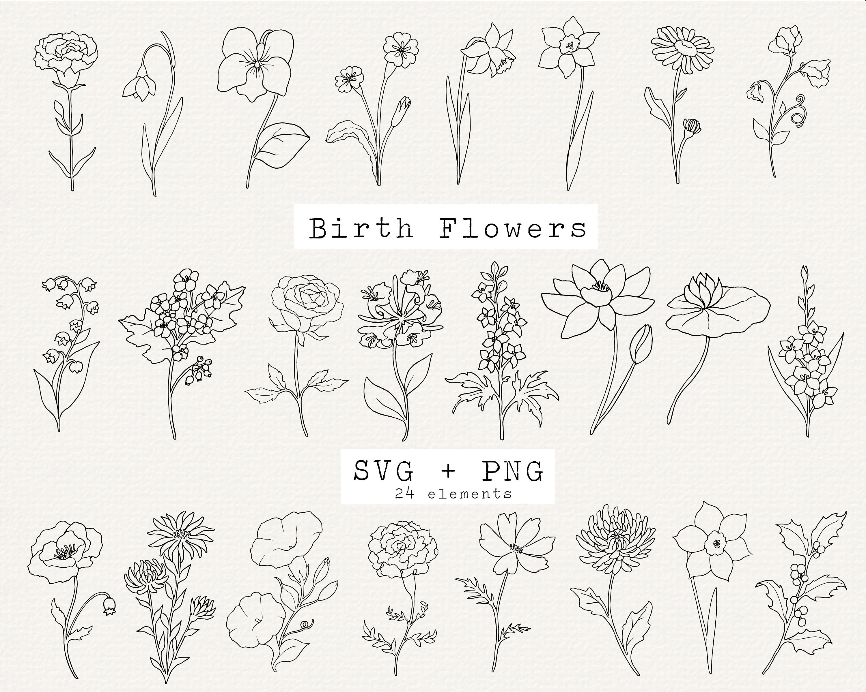  12 Birth Month Flower Stickers Birth Flower Decals