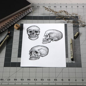 Skull Clip Art, Hand Drawn Skull PNG, Realistic Skull Drawing, Vintage Illustration, Halloween Graphics, Halloween Line Art Instant Download image 4