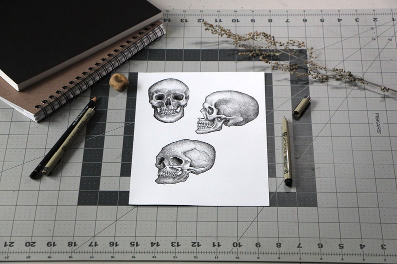 Skull Clip Art, Hand Drawn Skull PNG, Realistic Skull Drawing, Vintage Illustration, Halloween Graphics, Halloween Line Art Instant Download image 4