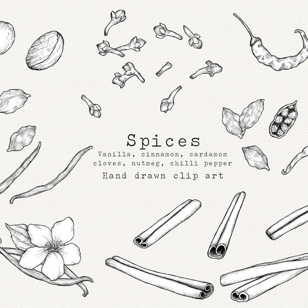 Spice Clipart, Baking Clipart, Food Clip Art, Culinary PNG, Kitchen Clip Art, Chai Spices, Сardamom, Pepper, Cinnamon, Vanilla, Cloves