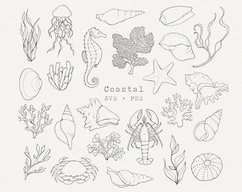 Paquete SVG costero, imágenes prediseñadas de vida marina, animales oceánicos, gráficos vectoriales marinos para Cricut