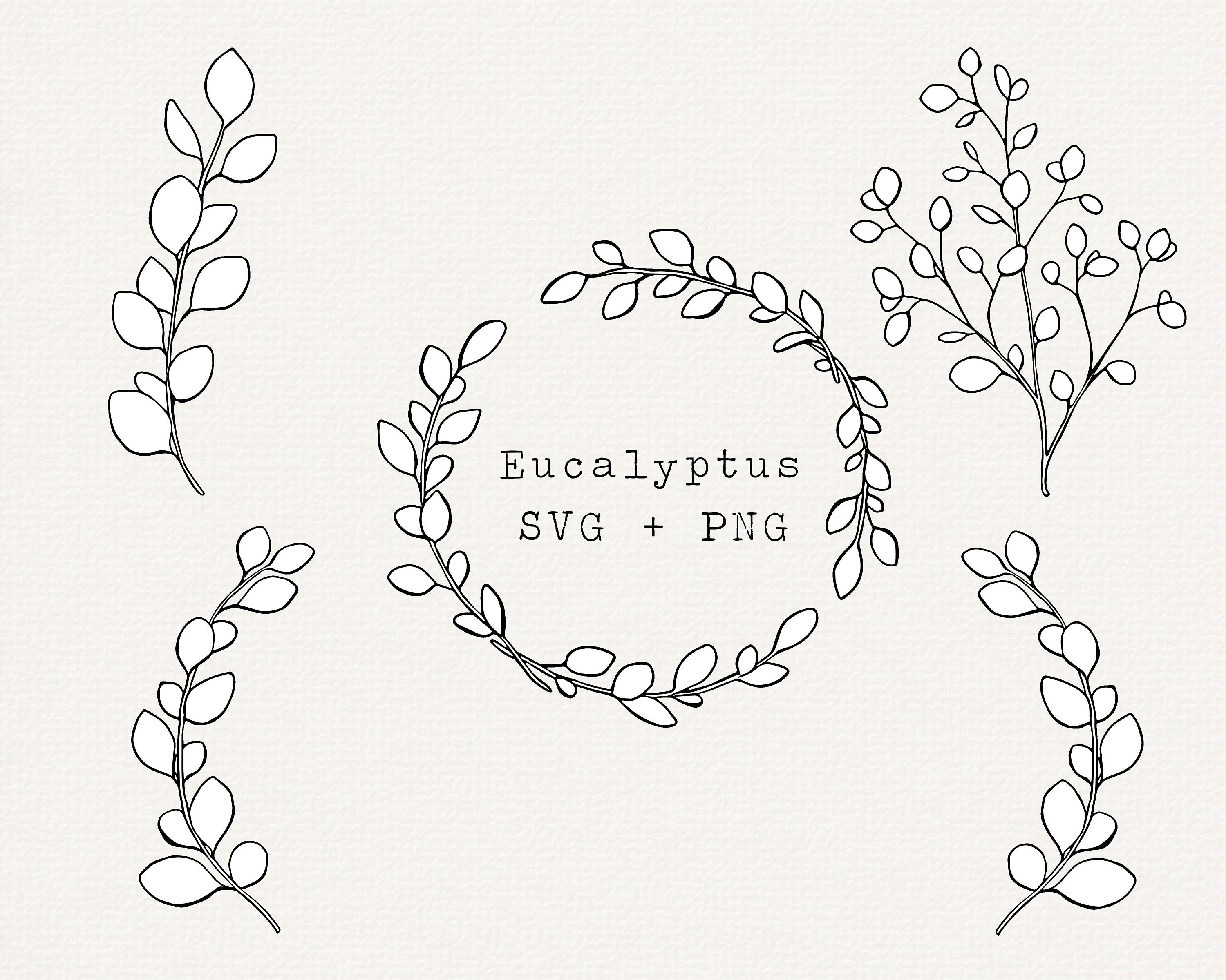 Eucalyptus SVG Eucalyptus Line Art Hand Drawn Eucalyptus - Etsy