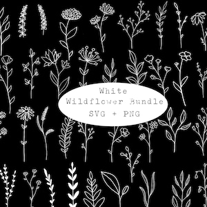 Bundle SVG fleurs sauvages blanches, éléments botaniques blancs, vecteur de dessin au trait floral blanc, fleur blanche Svg, Svg floral, fleurs et feuilles Cricut