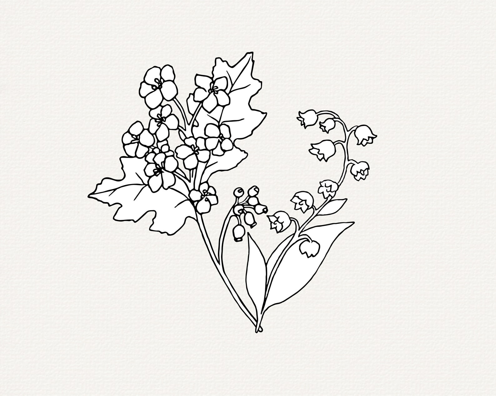 Lily of the Valley SVG, Hawthorn SVG, May Birth Month Flowers, May