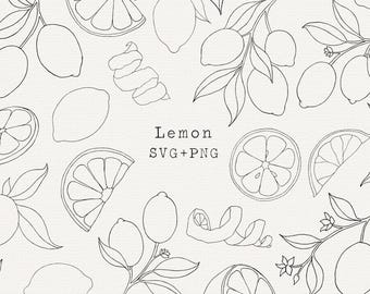 Illustrazione botanica di limone, semplice disegno lineare (SVG, PNG)